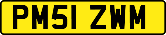 PM51ZWM