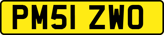 PM51ZWO