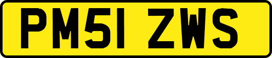 PM51ZWS