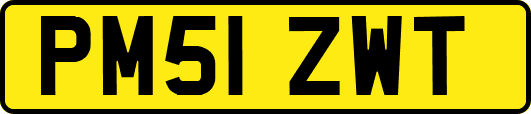 PM51ZWT