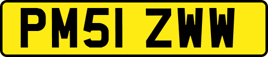 PM51ZWW