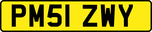 PM51ZWY