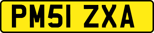 PM51ZXA