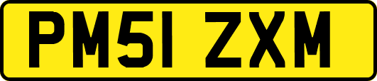 PM51ZXM
