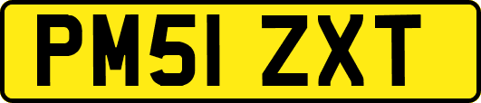 PM51ZXT