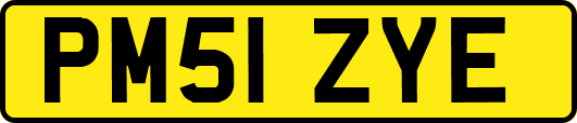 PM51ZYE