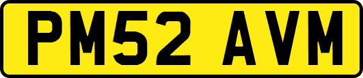 PM52AVM