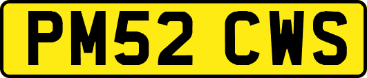 PM52CWS