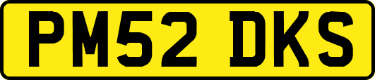 PM52DKS