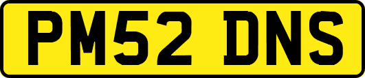 PM52DNS