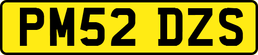 PM52DZS