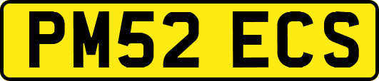 PM52ECS