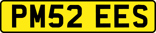 PM52EES