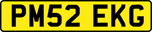 PM52EKG