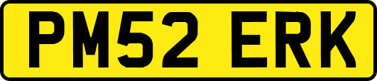 PM52ERK