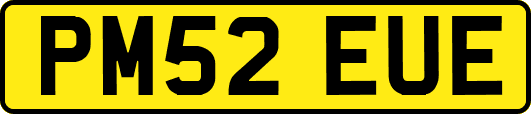 PM52EUE