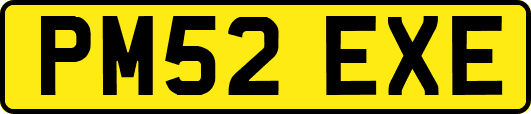 PM52EXE