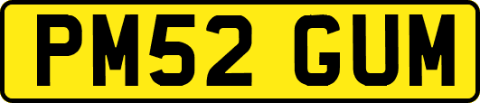 PM52GUM