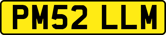 PM52LLM