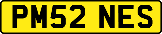 PM52NES