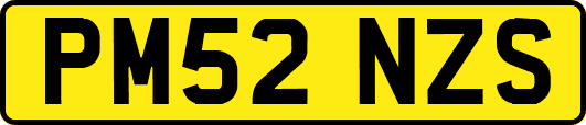 PM52NZS