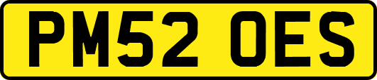 PM52OES