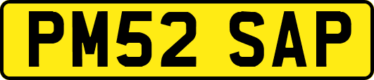 PM52SAP