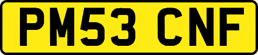 PM53CNF