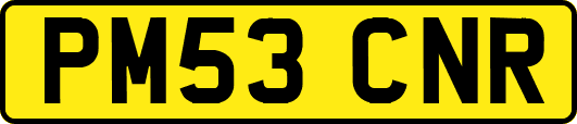 PM53CNR