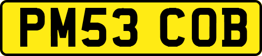 PM53COB