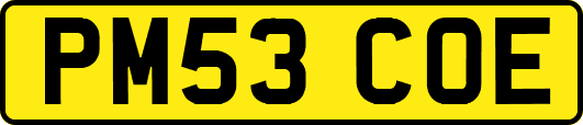 PM53COE