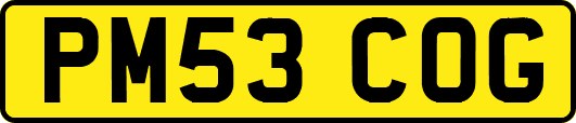 PM53COG