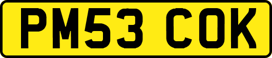 PM53COK