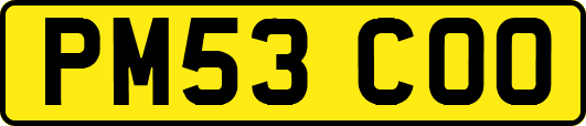 PM53COO