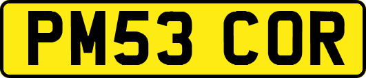 PM53COR