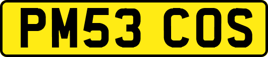 PM53COS