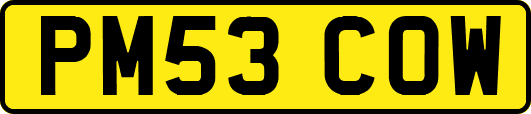 PM53COW