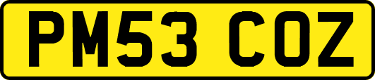 PM53COZ