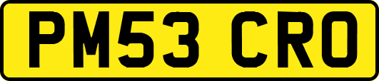 PM53CRO
