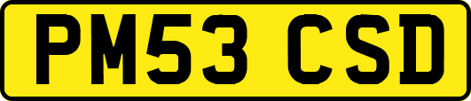 PM53CSD