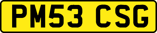 PM53CSG