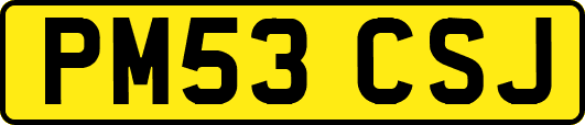 PM53CSJ