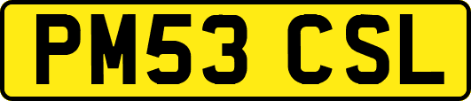 PM53CSL