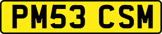 PM53CSM