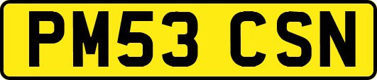 PM53CSN