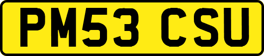 PM53CSU