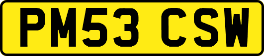 PM53CSW