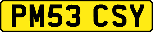 PM53CSY
