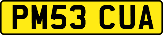 PM53CUA