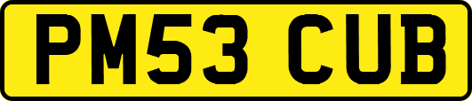 PM53CUB